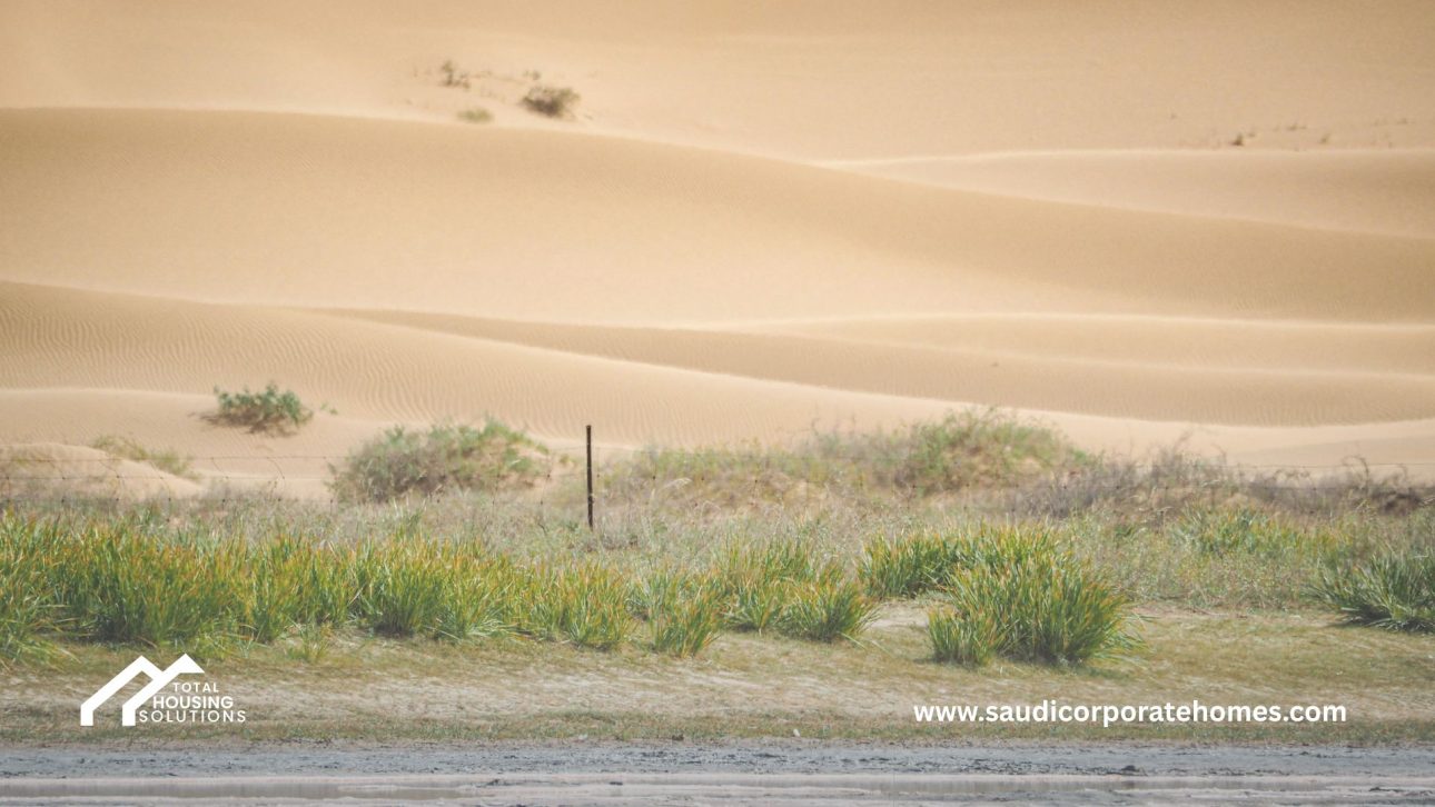 Packing and Logistics Tips for Relocating to Jeddah Weather